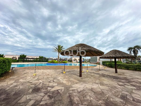 Imagem da galeria sem descrição