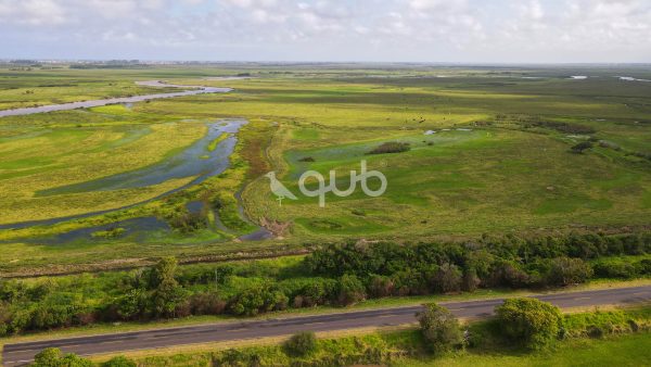 Imagem da galeria sem descrição