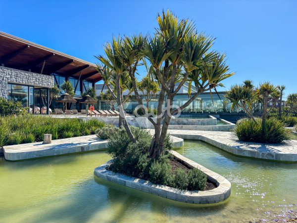 Imagem da galeria sem descrição