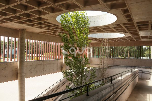 Imagem da galeria sem descrição